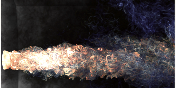 Gianlucca Graphic